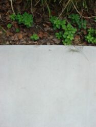 お庭の雑草対策に コンクリートはどう？ メリットよりデメリット大？